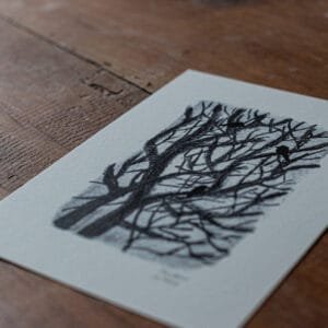 Dessin - Sur leurs branches - Image 3