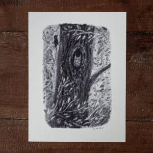 Dessin - Au cœur de l'arbre - Image 1