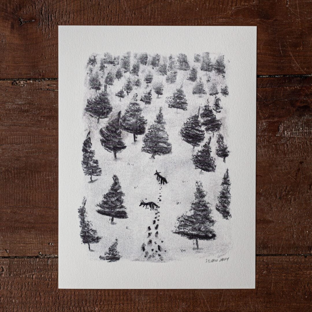 Dessin - Deux loups