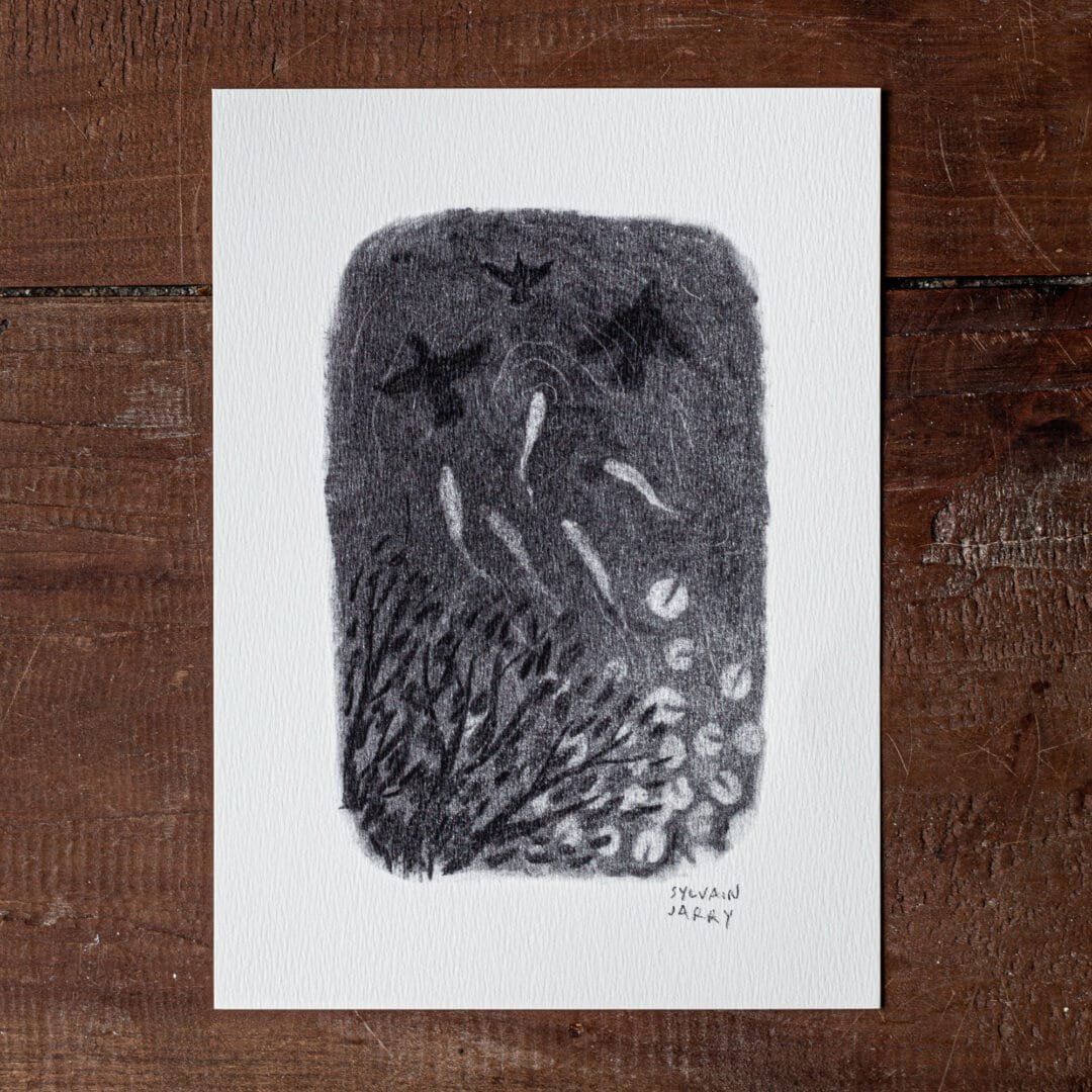 Dessin - La mare