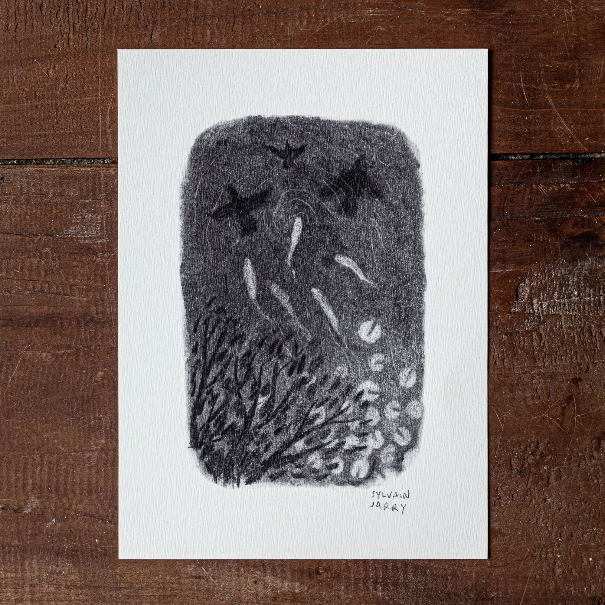 Dessin - La mare - Image 1