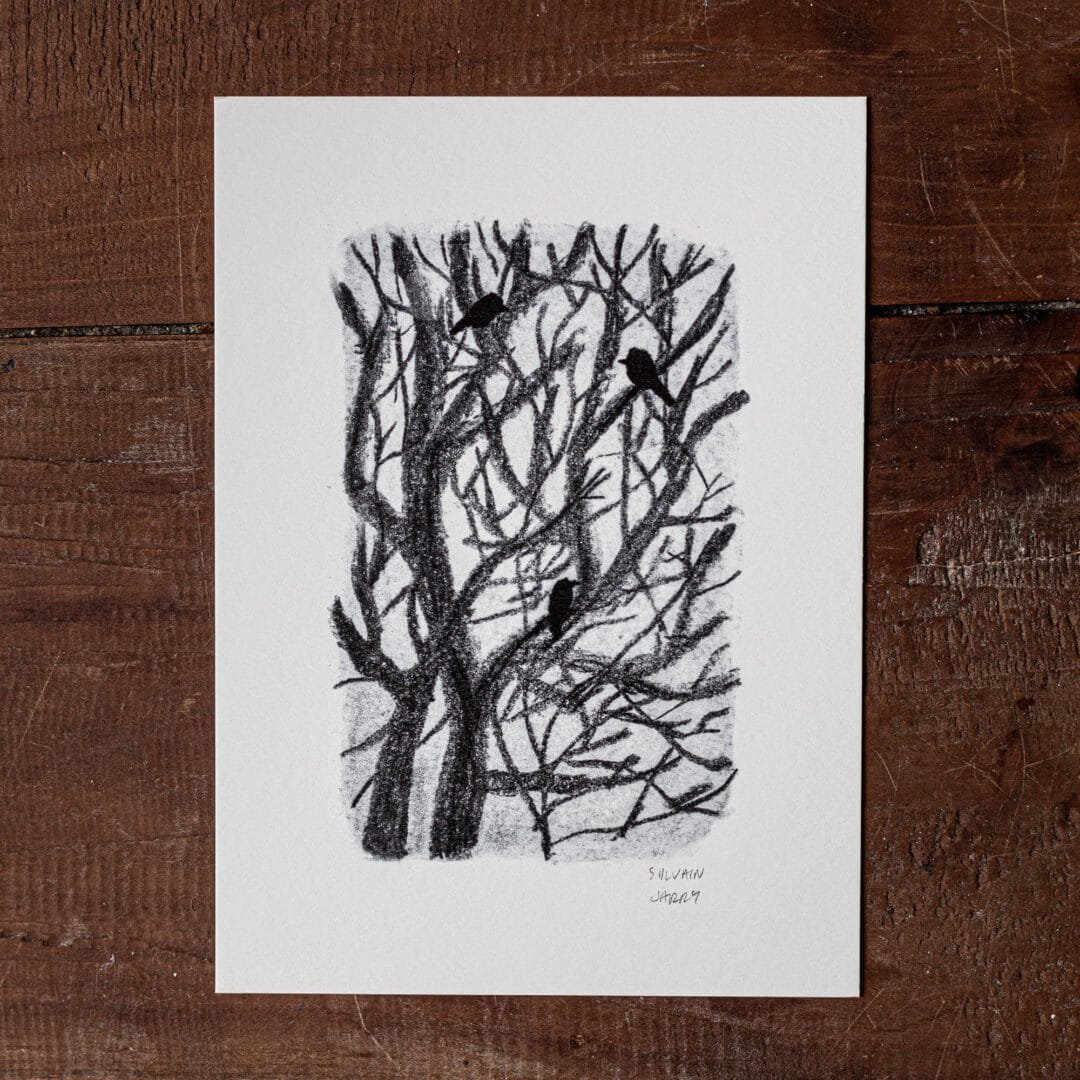 Dessin - Sur leurs branches