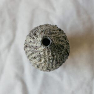 Soliflore pincé 2 - Image 2