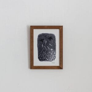 Dessin - La mare - Image 3