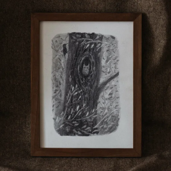 Dessin - Au cœur de l'arbre